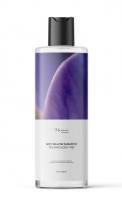 Шампуни шампунь с фиолетовым пигментом (anti-yellow) marieé la cosmétique global chemical, 500 мл