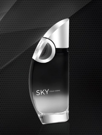 Парфюм туалетная вода для мужчин "sky" mirada, 100 мл