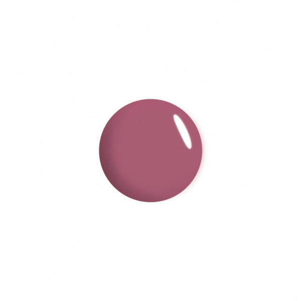 Для губ блеск для губ с влажным финишем тон 09 fresh plum paradiso relouis, 3 гр